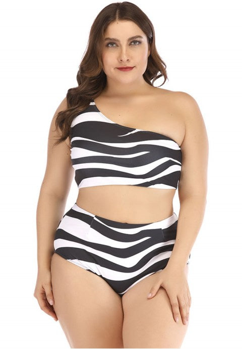 Plus Size Zebra Print Two Piece Swimsuit