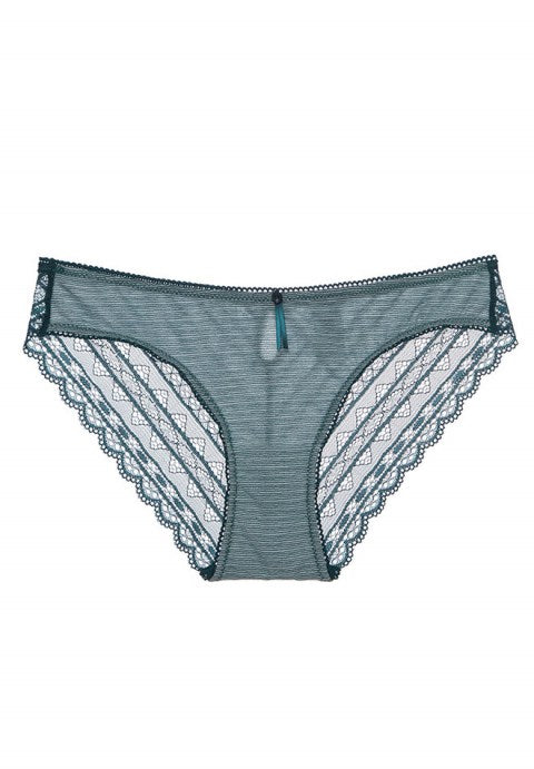 Sheer Lace Panel Panty